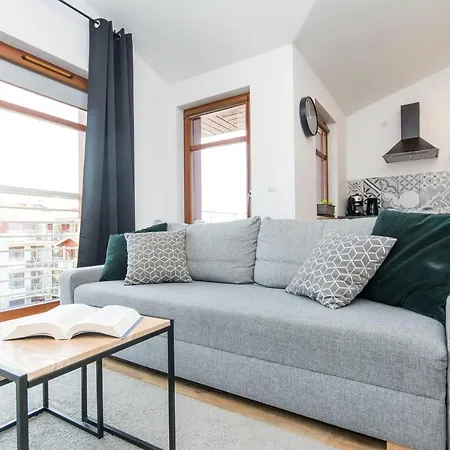 Grey Rentyear Gdańsk