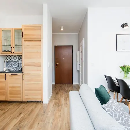 Grey Rentyear Gdańsk